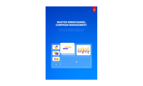 Master Omnichannel Campaign Management